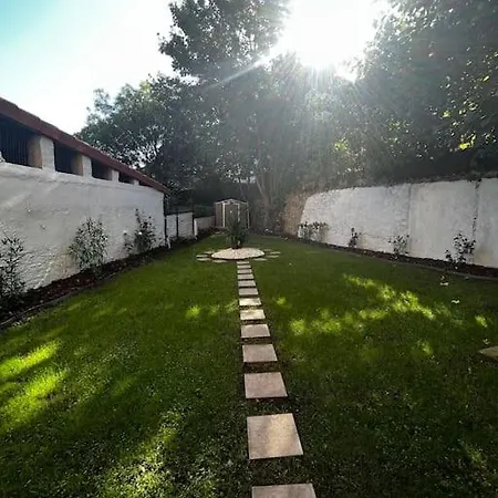 Jardin En El Centro Catedral Oviedo